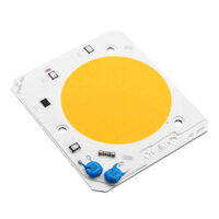 LUSTREON 30W 40W 50W DIY COB LED Light Chip Bulb Bead For Flood Light AC110/220V