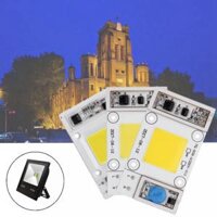 LUSTREON 50W Non-drive Thunder Protection COB LED Chip for DIY Flood Light Spotlight AC180-300V