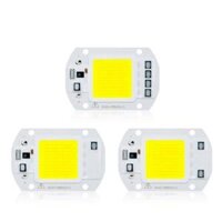 LUSTREON AC110V/220V 20W 30W 50W White/Warm White COB LED Chip 40X60mm for DIY Flood Light