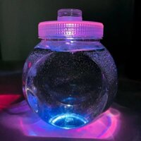 Lưu thông bể sứa đặc biệt và bể bong bóng tăng cường oxy