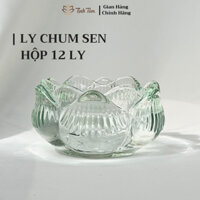 LY CHUM SEN 60ML HỘP 12 LY ĐỰNG NẾN, LY THỦY TINH ĐỰNG NẾN - TỊNH TÂM SHOP