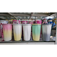 Ly giữ nhiệt 600ml bình giữ nhiệt có ống hút inox 304 cao cấp tặng, cọ rửa, túi đựng trong suốt