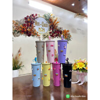 Ly Giữ Nhiệt Trơn 750ml tặng Charm gắn TOY ,ống hút,cọ rửa ống hút,nút bịt chống tràn,túi trong,nút bịt ống hútn