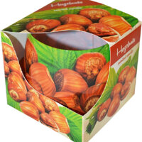 Ly nến thơm Admit ADM4201 Hazelnuts 100g Hương hạt dẻ