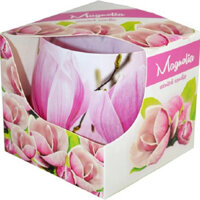 Ly nến thơm Admit ADM5501 Magnolia 100g Hương hoa mộc lan