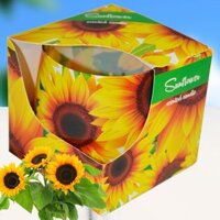 Ly nến thơm tinh dầu Admit Sunflower 100g.HOA HƯỚNG DƯƠNG.Khử mùi,Nến tinh dầu cao cấp nhập khẩu châu âu.