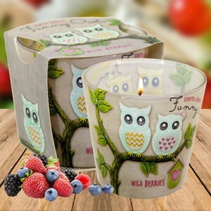 Ly nến thơm tinh dầu Bartek Funny Owls 115g QT00668 - hương quả ngọt