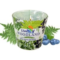 Ly nến thơm tinh dầu Bartek Dream of Woodland 115g QT04962 - cây dương sỉ, nến trang trí, thơm phòng, thư giãn, khử mùi giao mẫu ngẫu nhiên