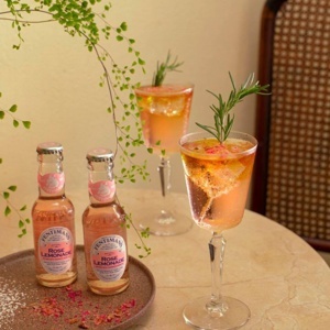 Ly thủy tinh Libbey SPKSY cocktail