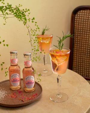 Ly thủy tinh Libbey SPKSY cocktail