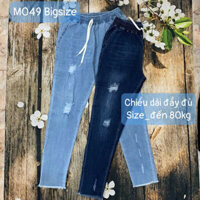 M049✔️Quần Jean Nữ Bigsize Đến 80kg,Quần Bò Cạp Chun,Quần Jean Mềm Co Giãn Lưng Thun
