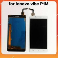 M102 -  BỘ MÀN HÌNH LENOVO P1MA40 / P1M ZIN