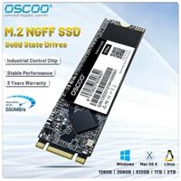 M2 2280 SSD M.2 SATA 128GB 256 GB 512GB 1TB HDD 120g 240g NGFF SSD 2280mm HDD Disco DURO cho Máy tính để bàn máy tính xách tay