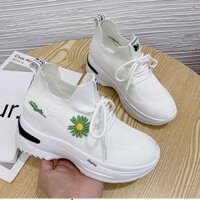 M23 GIÀY NỮ ĐỘN ĐẾ 7 CM HOA CÚC nâng cao CHIỀU CAO VẢI MÊM ĐẾ NHẸ ÊM THOÁNG KHÍ TD 63 6