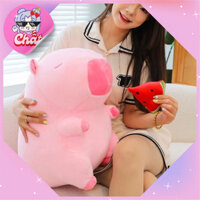 Mã 01 Bông Capybara Hồng Dưa Hấu Đáng Yêu, Chuột Lang Capybara Ăn Dưa Hấu Có Thể Kéo Được