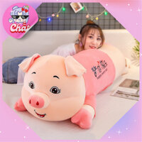 Mã 01 Gối ôm gấu bông Heo mặc áo hồng Capina.868 dài tới 1m6 - gấu bông size lớn