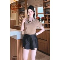 mã 60 Áo thun nữ, áo cổ bẻ hàng hiệu đẹp chất liệu cotton cao cấp 100% co giãn 4 chiều không bai xù hãng lucy