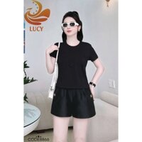 mã 66 áo thun nữ, áo thun cổ tròn  hàng hiệu đẹp chất liệu cotton cao cấp 100% co giãn 4 chiều,không bai xù hãng LUCy