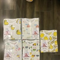 Mã a2 bộ giấy dài