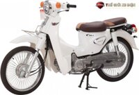 Mã:304 Xe máy Cub NEW 50 (Đèn LED)