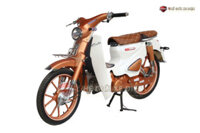 Mã:348 Xe Máy 50cc Cub Ally Classic Bản Độ 2020