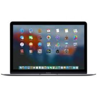 Macbook 12 inch 256GB (MLH72) Gray 2016