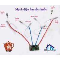 Mạch ấm sắc thuốc điện Mạch ấm sắc thuốc Trường Thọ