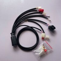 Mạch auto passing lắp bi cầu mini 2 màu lắp công tắc passing sh mạch 3 chế độ tặng kèm giắc cắm đèn và cầu chì dự phòng