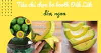 Mách bạn cách chọn và bảo quản bơ booth Đắk Lắk chín dẻo ngon!			Để lại bình luận