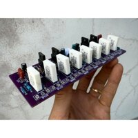 Mạch Công Suất 8 Sò 2 Kênh 600W Tuan Audio