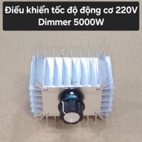 Mạch điều khiển động cơ bóng đèn sợi đốt 220VAC - 5000W Triac Dimmer