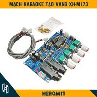 Mạch Karaoke tạo vang đủ phụ kiện M173