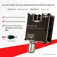 Mạch khuếch đại âm thanh mono 30W Wuzhi ZK301B bluetooth 5.1 ( chính hãng wuzhi)