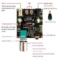 Mạch khuếch đại âm thanh mono 30W Wuzhi ZK301B bluetooth 5.1 ( chính hãng wuzhi)