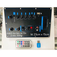 Mạch loa kéo 12V to 2 míc - 300W