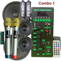 Mạch loa kéo 2.5 tấc đôi CS8676 kèm micro và led nháy theo nhạc