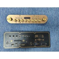 Mạch loa kéo xách tay K10 Plus, K15, K18 dsp reverb cực hay- Điện Tử Phương Huy -