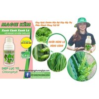 MAGIE KẼM DIỆP LỤC TỐ CHAI 500ML- XANH LÁ DÀY LÁ..( CHUYÊN RAU MÀU ) - MAGIE DIỆP LỤC TỐ HPO