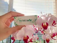 Mai Thảo Mộc Trị Mụn Nguyên Chất ( 5ml)