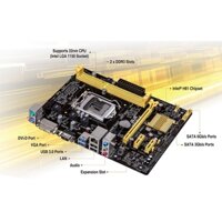 Main Asus H81 chính hãng