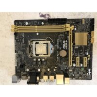 main asus h81