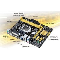 Main ASUS H81M-D