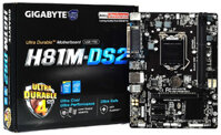 MAIN GIGABYTE H81M - DS2V