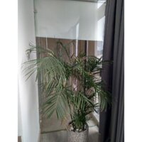 main Lenovo s400 lấp đuoc máy s410 chíp pen đời mới