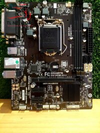 Mainboard Gigabyte H81 M-DS2 Sk 1150