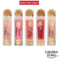 MAJOLICA MAJORCA Honey Pump Gloss NEO 5 Colors Lip Gloss 【Direct from Japan】