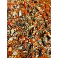 MẮM ẤU TRÙNG CHUỒN CHUỒN 110K/1 HŨ 500gram