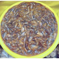 Mắm Cá Chốt Đặc sản Miền Tây