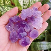 Mầm đá Amethyst, đá Thạch Anh Tím dạng mầm (búp) tầm 1-1,5cm, set 100gram