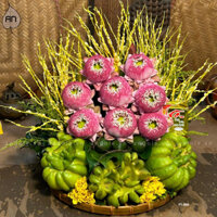 Mâm phật thủ 3 quả mẫu 3, gồm phật thủ và hoa sen hồng dành cho các dịp lễ, cúng